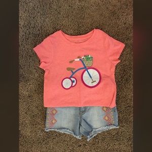 Girls Cat & Jack outfit 4t